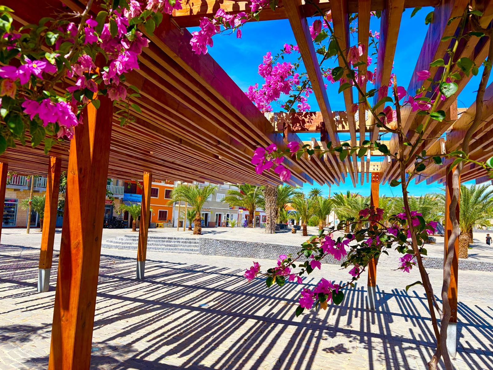 Holzpergola mit blühender Bougainvillea auf dem Platz im Zentrum von Sal Rei